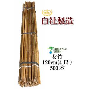 女竹 90cm 100本 篠竹 天然竹 竹支柱 測量用 測量用品 目印 農業用