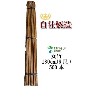 女竹 210cm 50本 篠竹 天然竹 竹支柱 添え木 園芸用 農業用 定植時支柱