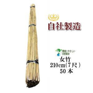 女竹　篠竹　小径管　9本セット　③ 女竹 210cm（7尺）×10本 篠竹 農業用、園芸用の支柱など 竹 支柱
