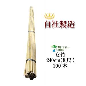 女竹　篠竹　小径管　9本セット　③ 女竹 270cm（9尺） 10本 篠竹 農業用、園芸用の支柱などに 竹 支柱