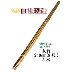 女竹　篠竹 女竹 60cm 20本 篠竹 竹支柱 天然竹 測量用 測量用品 目印 農業用 業務