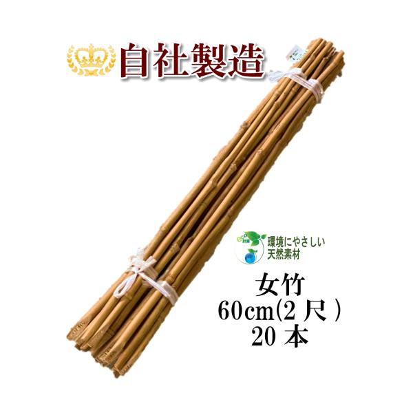 女竹 60cm 20本 篠竹 竹支柱 天然竹 測量用 測量用品 目印 農業用 業務用