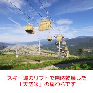 天空米 稲わら 令和6年度 魚沼産コシヒカリの...の詳細画像1