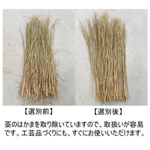 天空米 稲わら 令和6年度 魚沼産コシヒカリの...の詳細画像4