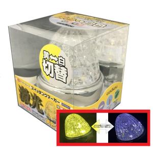 JB激光LEDスイッチングマーカー【各色】（色切り替え） 12/24V共用