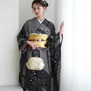 振袖 レンタル 成人式 21点セット レトロ 古典 結婚式 結納 前撮り 成人式セット 花 黒系 正絹 モダンブラックに絞り蝶々