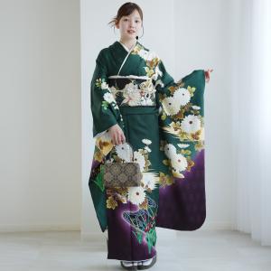 レンタル 振袖 正絹着物+袋帯 21点セット 絵羽 緑と紫のぼかしに咲く菖蒲と菊 着物セット 成人式 結婚式 前撮り ※2026年12月〜2027年1月予約空きなし