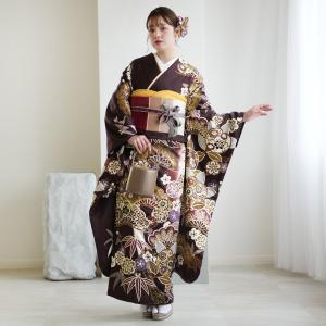 レンタル 振袖 正絹着物+袋帯 21点セット 絵...の商品画像