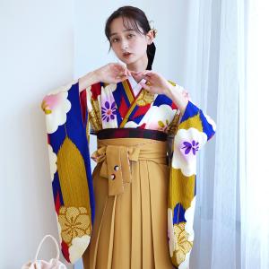 袴 レンタル 卒業式 袴 2尺袖着物 袴 17点...の商品画像