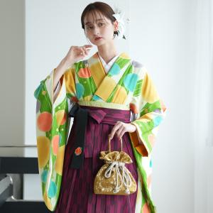 袴 レンタル 卒業式 2尺袖着物 袴 17点セッ...の商品画像