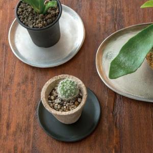 植木鉢 皿 ラウンドプレート 直径10cm 皿 2枚セット 受け皿 鉢皿 丸皿 円形 植木鉢 ガーデニング 観葉植物 トレイルミ シルバー系