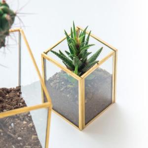 花瓶 おしゃれ 花瓶 フレームポット 鉢カバー 植木鉢 ガラス 一輪挿し インテリア クリア 玄関 模様替え おしゃれ かびん 花器 花びん シンプル