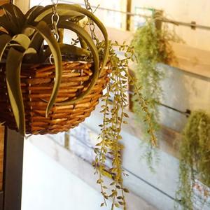 フェイクグリーン 人工観葉植物 ワイヤープラン...の詳細画像3