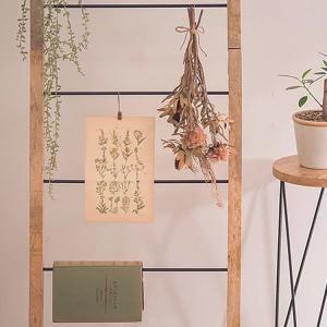 木製 はしご インテリアの商品一覧 通販 Yahoo ショッピング