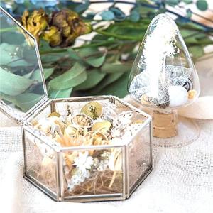 フレームガラス＆ミラーボックス 六角形 L 宝石箱 ジュエリーボックス