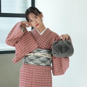 着物 ポリエステル 単品 JAPAN MODE 袷着物 日本製 小紋 レディース 洗える着物 お仕立て上がり きもの単品 街着 フリーサイズ 秋冬 カジュアル 赤系