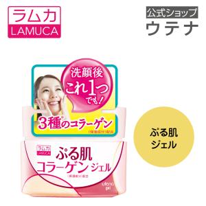 SkinTimecess 【販売終了しました】スキンタイムセス 27D Plus