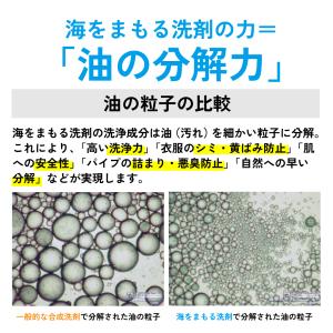 wellwash 海をまもる洗剤 洗濯用 60...の詳細画像4