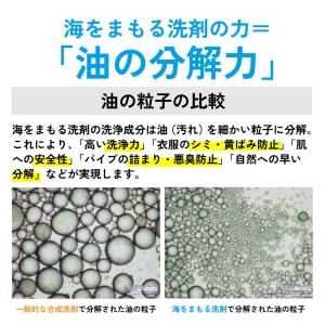 海をまもる洗剤 洗濯用 1000ml 詰め替え...の詳細画像3
