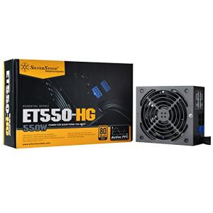 SilverStone Essentialシリーズ 80PLUS GOLD認証電源550W SST-ET550-HG