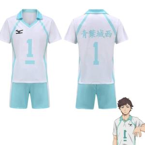 ハイキュー コスプレ ジャージ 上下2セット半袖 青葉城西高校 コスプレ衣装 ユニフォーム 及川徹 岩泉一 青葉城西 服 運動服 通気 軽薄 学園祭 文化祭 仮装