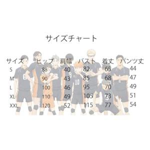 ハイキュー コスプレ衣装 ジャージ 劇場版 ユ...の詳細画像3