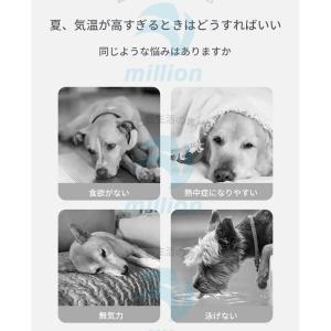 犬 ライフジャケット あごのせ 犬用 ペット用...の詳細画像2