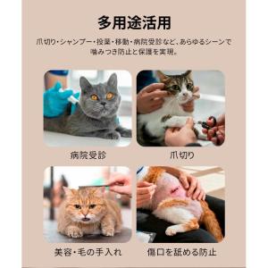 グルーミング用猫ヘルメット 透明ヘッドカバー ...の詳細画像3