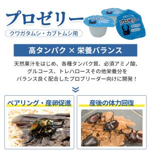 昆虫ゼリー プロゼリー 16g 50個 KBフ...の詳細画像2
