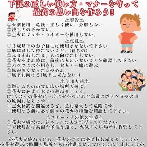 【花火屋さん監修】 噴出花火 花火セット 10...の詳細画像3