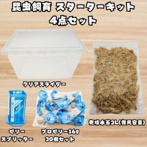 カブトムシ/クワガタ育成キット 4点セット ク...の詳細画像1