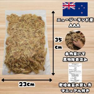 カブトムシ/クワガタ育成キット 4点セット ク...の詳細画像3