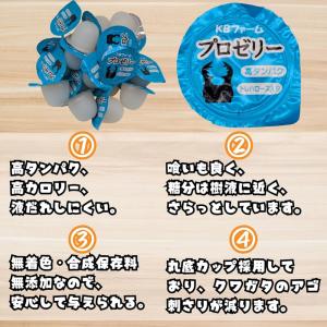 カブトムシ/クワガタ育成キット 4点セット ク...の詳細画像4