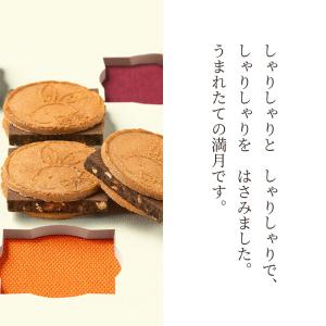 鎌倉五郎本店 鎌倉チョコサンドだょ 6個入 和菓子の詳細画像2