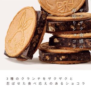 鎌倉五郎本店 鎌倉チョコサンドだょ 6個入 和菓子の詳細画像4