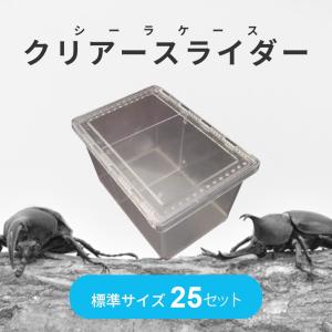 児*平様 クリアスライダー　ラージ　15個 新品です 2026年7月】クリアスライダー（虫かご、飼育ケース）のおすすめ人気