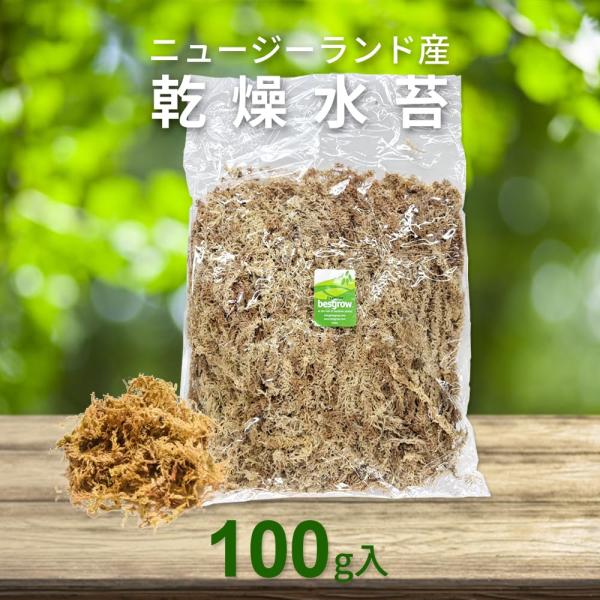Besgrow ニュージーランド産 乾燥水苔 超高級レイヤー 100g 平均30cm以上 プレミアム...