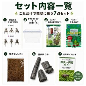 独自ブランド 鈴虫 育成キット 成虫3ペア 飼...の詳細画像1
