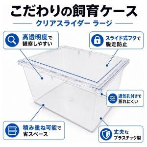独自ブランド 鈴虫 育成キット 成虫3ペア 飼...の詳細画像2