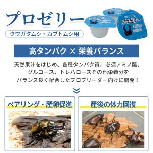 KBファーム プロゼリー 16g 昆虫ゼリー ...の詳細画像2