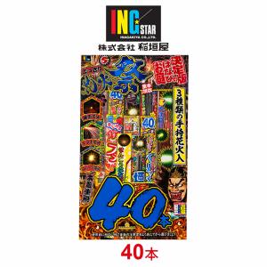 稲垣屋 手持ち花火セット どっさり花火祭L 40本入 1袋