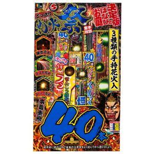 稲垣屋 手持ち花火セット どっさり花火祭L 4...の詳細画像2