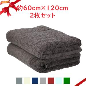伊澤タオル ふんわりボリュームバスタオル 2枚セット 約60cm×120cm