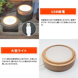 光る 木製 台座 丸型 円型 台座 カーブ 照...の詳細画像5