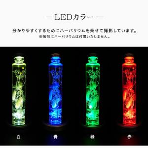 光る LED台座 丸薄型 8.5cm 4灯 電...の詳細画像5