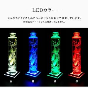 光る LED台座 四角型 6.8cm 4灯 電...の詳細画像5