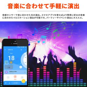 SMART イルミネーション カーテンライト ...の詳細画像2
