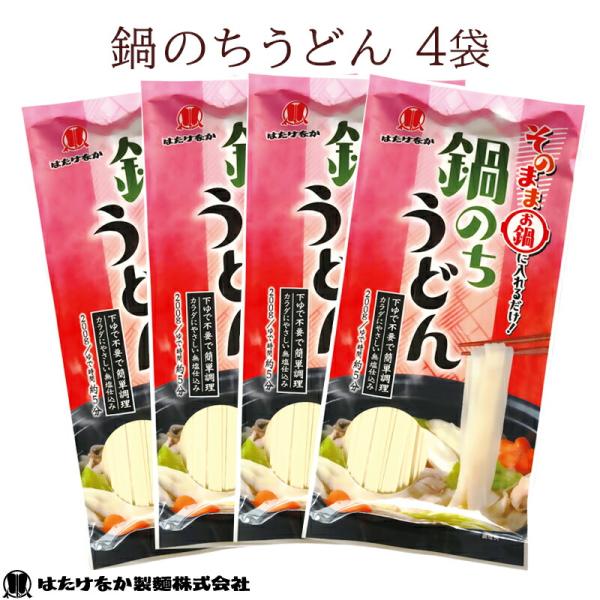 無塩うどん 4袋 はたけなか製麺 鍋のちうどん 200g×4袋 食塩不使用 減塩 離乳食 介護食 饂...