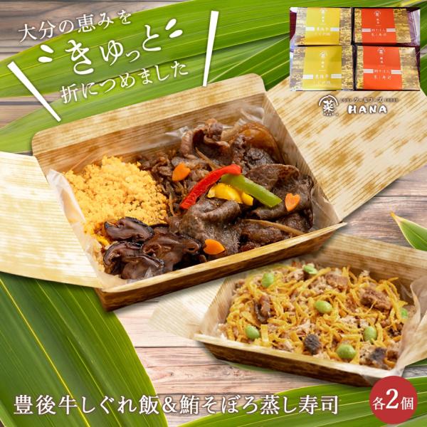 クールフーズHANA 豊後牛しぐれ飯 鮪そぼろ蒸し寿司  冷凍 4個 各2個 ちらし寿司 むしずし ...