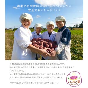 いっぷく堂 干し芋 はるかさん 100g 2袋...の詳細画像2